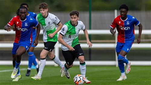 Master Rebel Betting: Strategies for Smart Wins